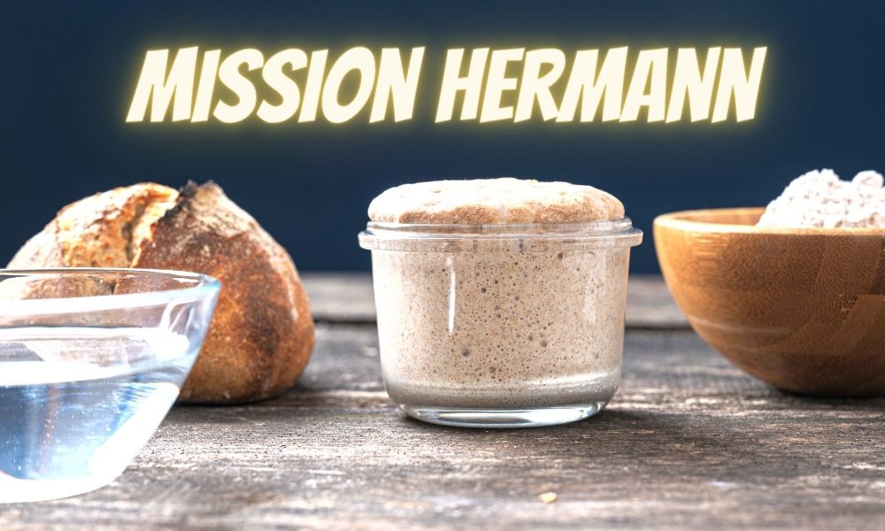 mission-hermann